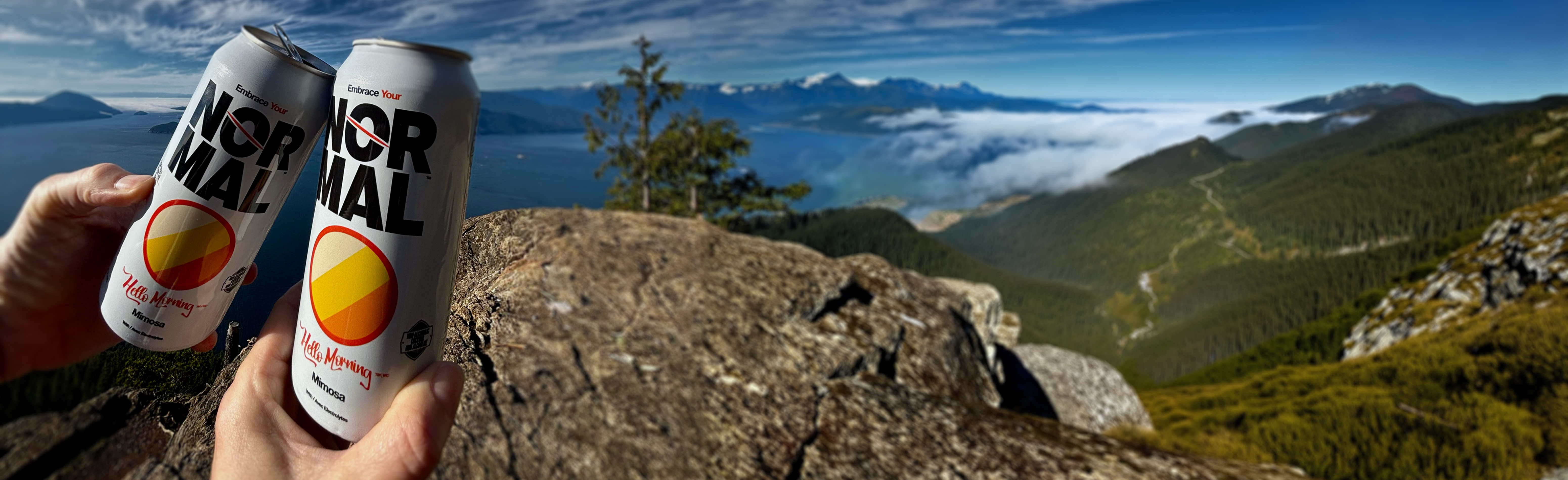 Normal Beverage Ltd., Embrace Your Normal™